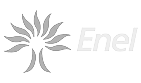Enel logo, Proger client and partner